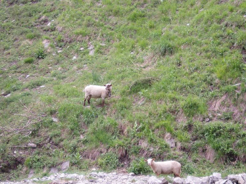 Youri - Ecrins 2005 317 